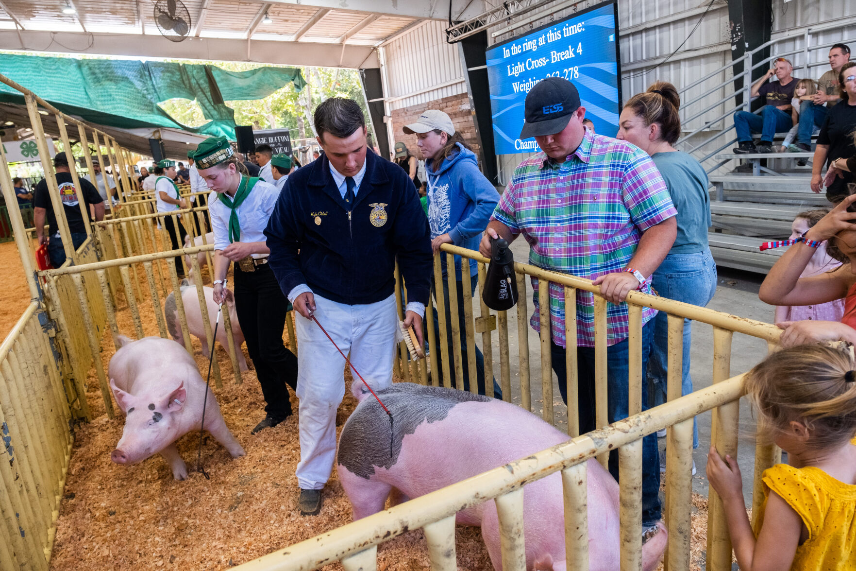 4-H at the Fair